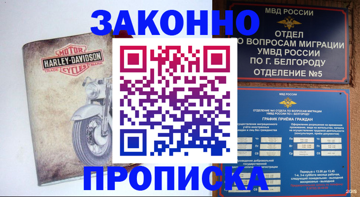 прописка для школы в Апатитах